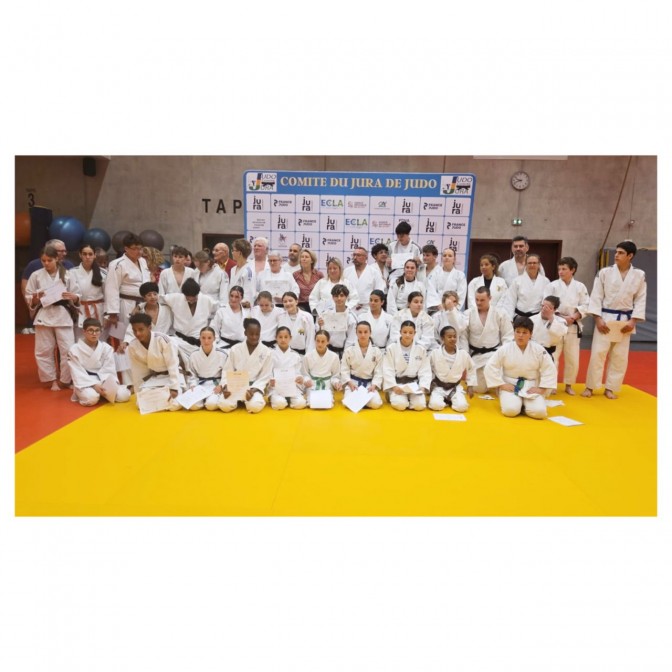 Image de l'actu 'AG du comité du Jura de judo à Lons'
