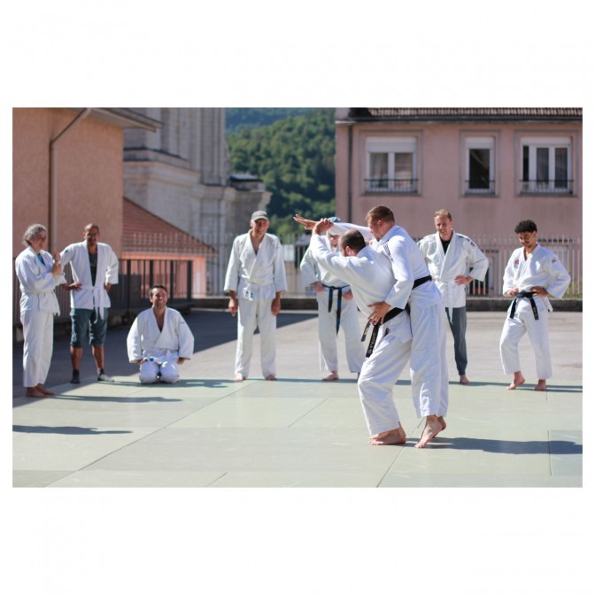 Image de l'actu 'Initiation arts martiaux à la Frémille'